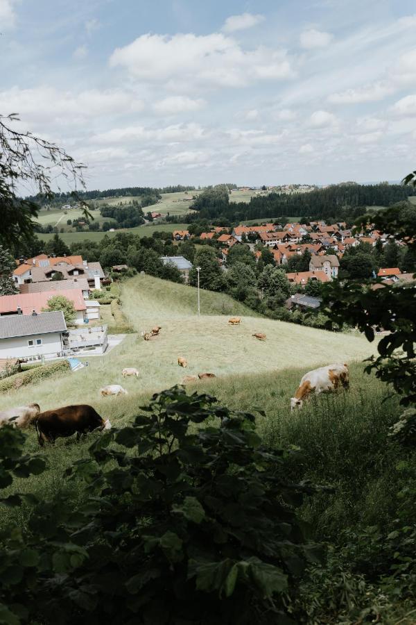 Ferienwohnung Alpenblick I Kamin I Private Sauna ヴァンゲン・イム・アルゴイ エクステリア 写真