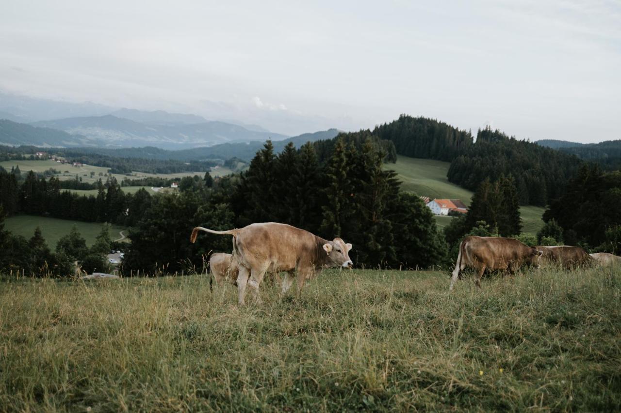 Ferienwohnung Alpenblick I Kamin I Private Sauna ヴァンゲン・イム・アルゴイ エクステリア 写真